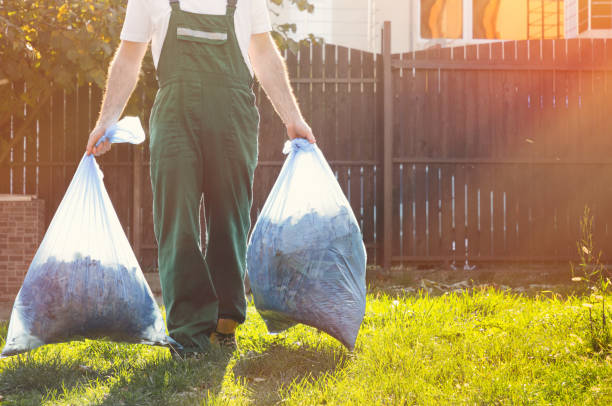 Best Local Junk Hauling  in Colony Rk, PA