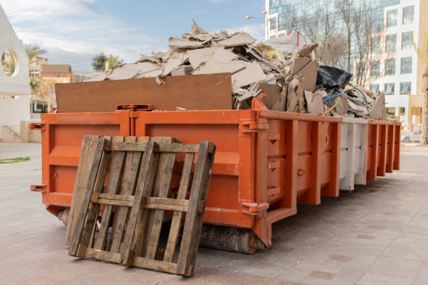 Best Affordable Junk Removal Services  in Colony Rk, PA